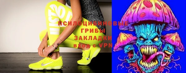 кристаллы Осинники