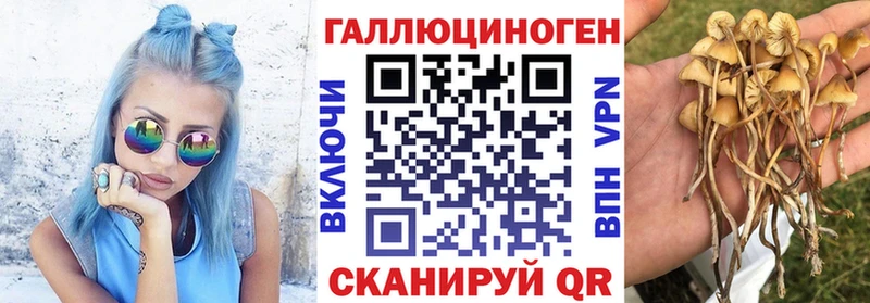 Галлюциногенные грибы ЛСД  Дятьково 